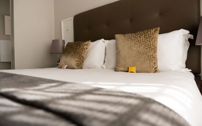 Johannesburg Accommodation for Regional Travellers – Kyalami Creek